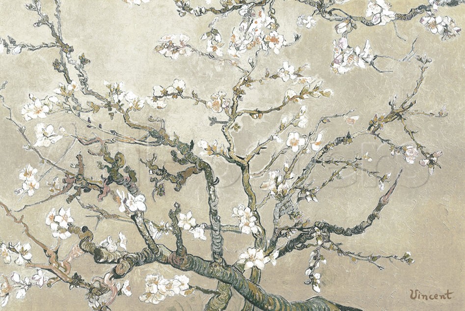 Almond Branches in Bloom, San Remy Grey - Vincent Van Gogh Paintings